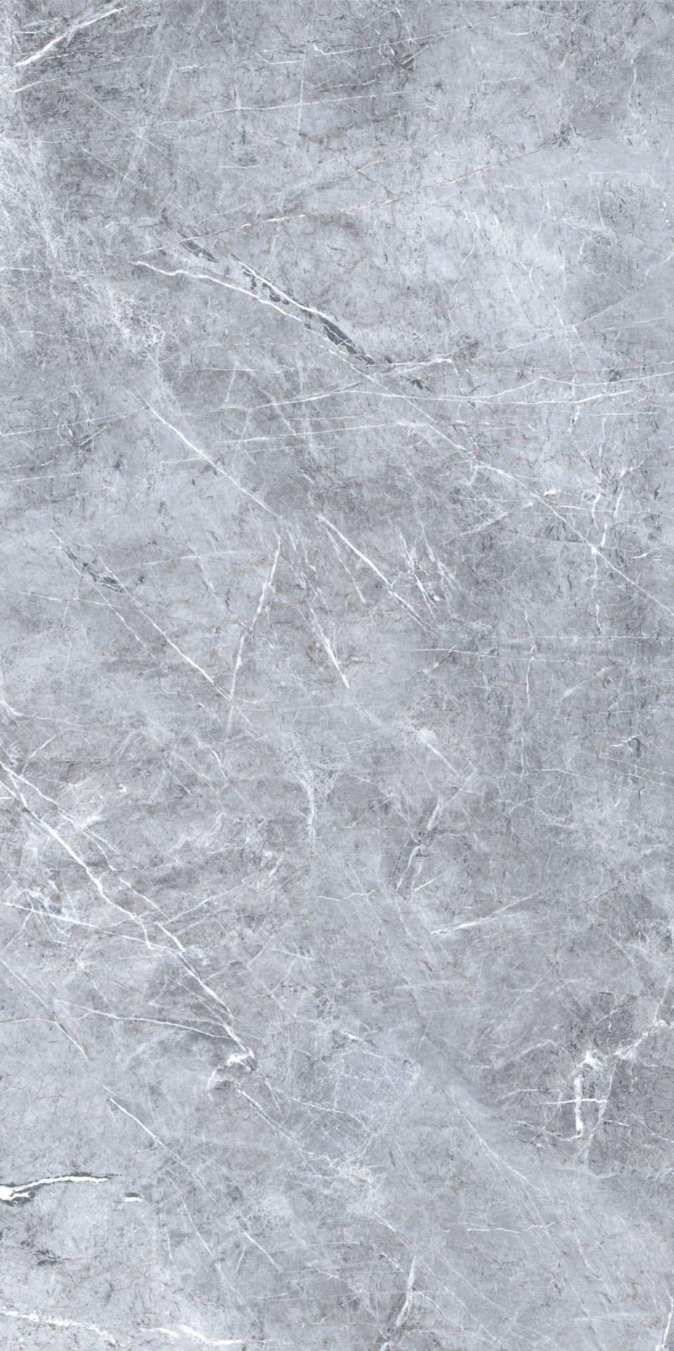 60X120 Prestij Gri Parlak (1,44) MPB-R562