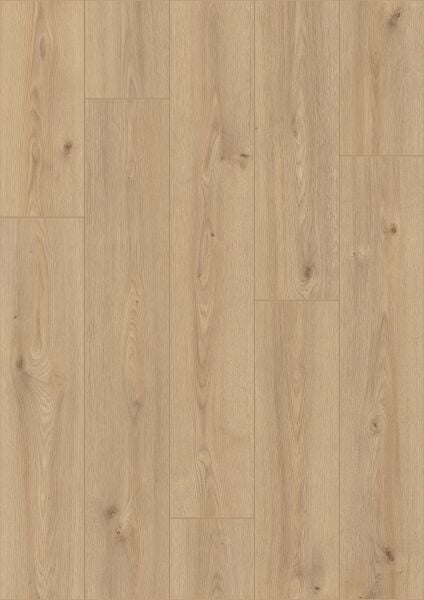 Çamsan Bebek Laminat + Süpürgelik + Kapron