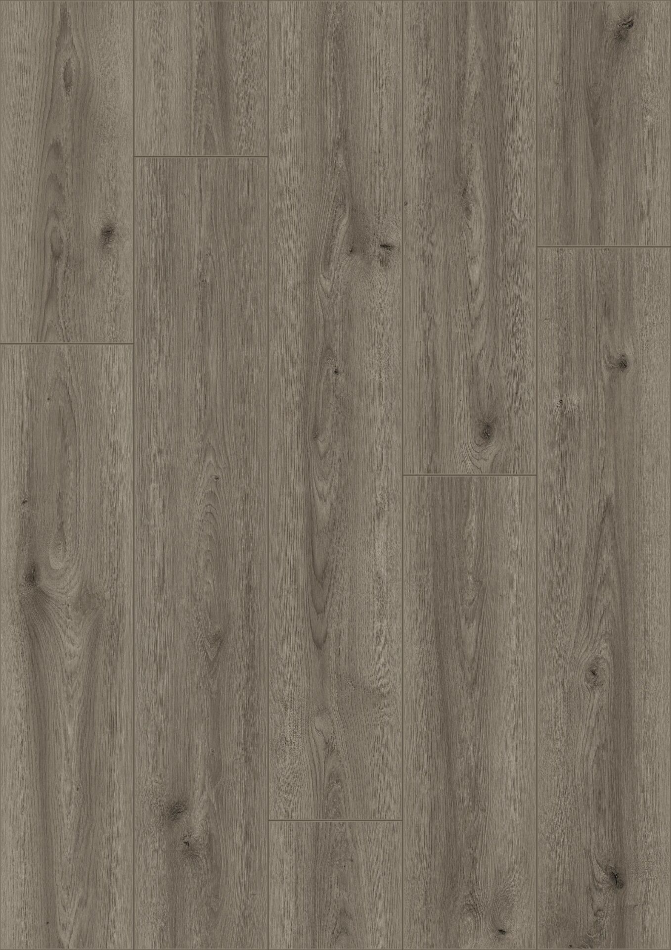 Çamsan Feri Laminat + Süpürgelik + Kapron