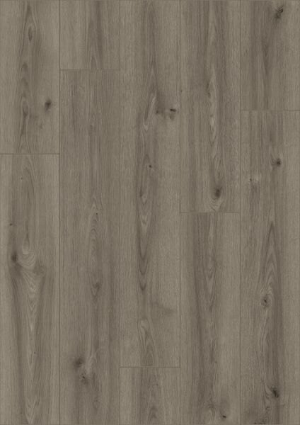Çamsan Feri Laminat + Süpürgelik + Kapron