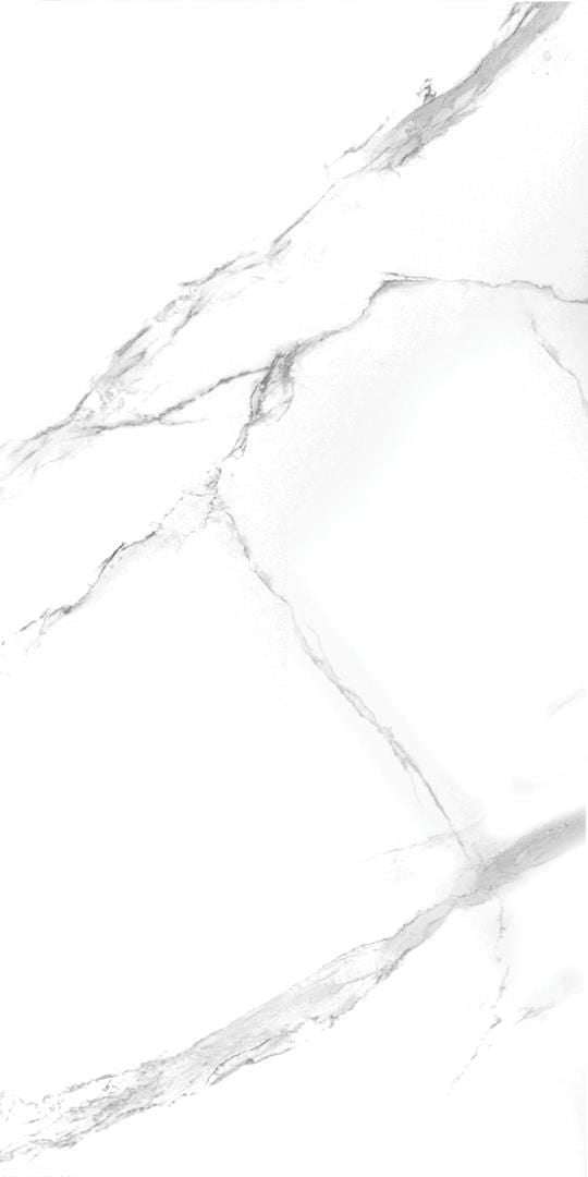 60X120 Neo Calacatta Silver (2,16)